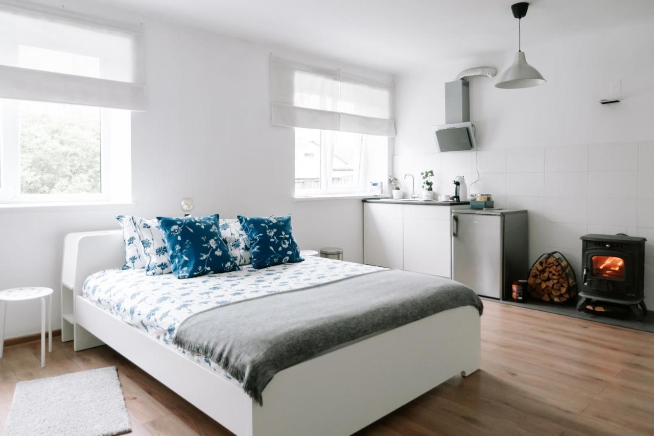 Lake Aluksne Studio Apartment Εξωτερικό φωτογραφία