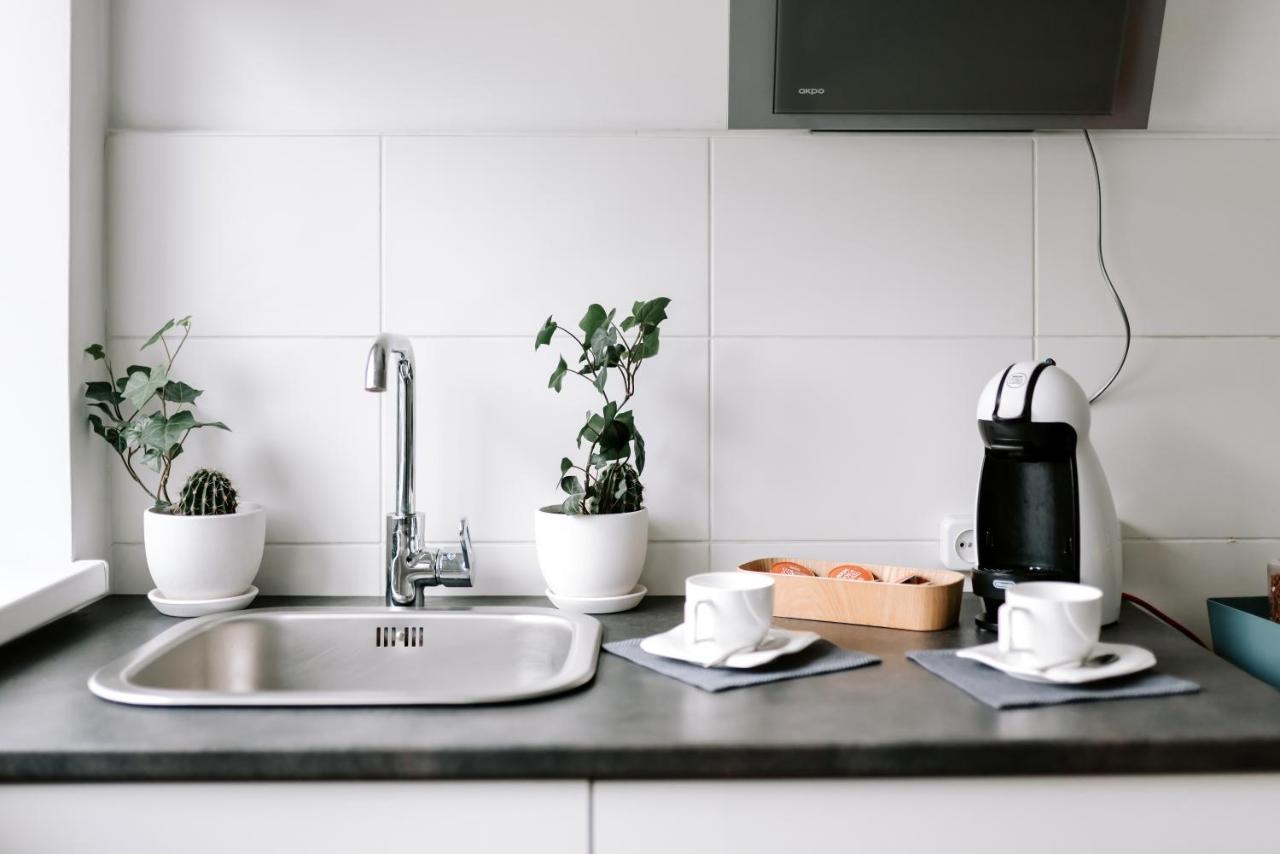 Lake Aluksne Studio Apartment Εξωτερικό φωτογραφία