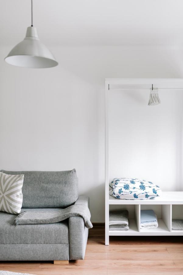 Lake Aluksne Studio Apartment Εξωτερικό φωτογραφία